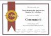 Concours 2009 � LONDON