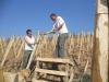  Notre Vigne en  Viognier
