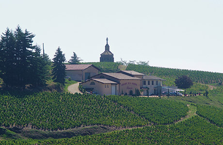 domaine viticole de la Madone