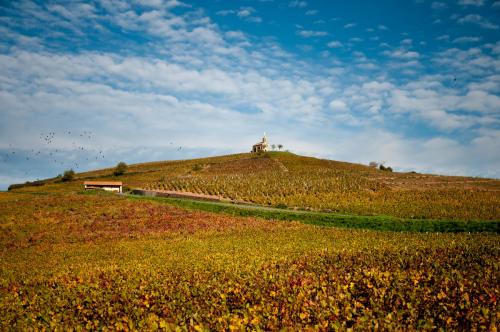 Week-end Marché aux vins de Fleurie et Portes ouvertes du domaine !!