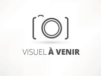 Fleurie vieilles vignes Madone Fleurie vieilles vignes Madone