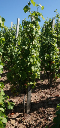 Nos formules groupes