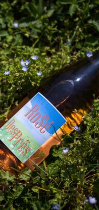Vin de France Rosé de gamay