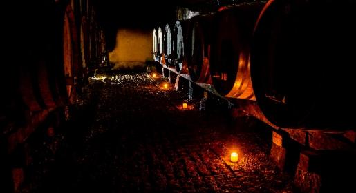 expérience oenologique