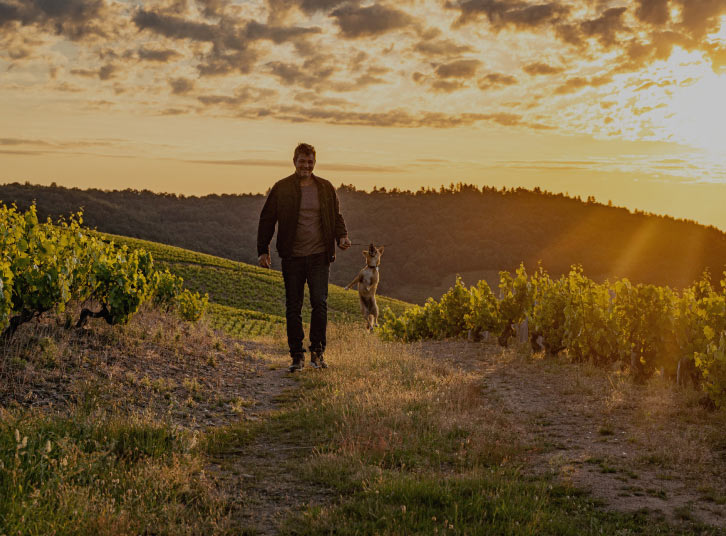 Viticulteur Beaujolais Fleurie | Domaine de La Madone
